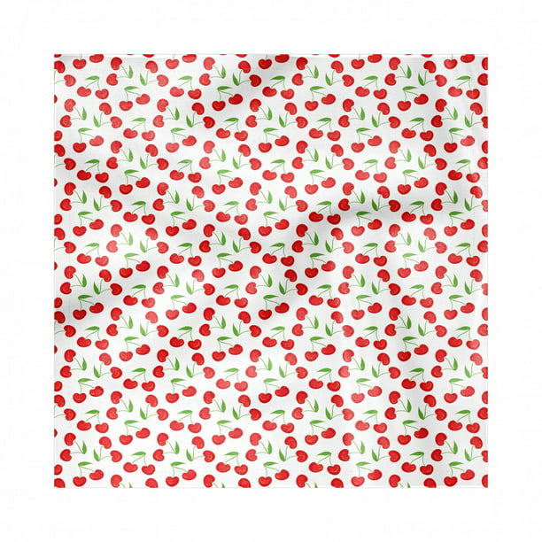 Pink and Sea Blue Repetitive Summer Time Season Fruit Cartoon Image Illustration Washable Fabric Placemats for Dining Table Standard Size Ambesonne Watermelon Place Mats Set of 4 